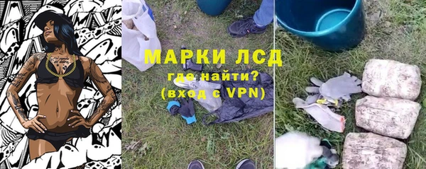 прущие грибы Бугульма