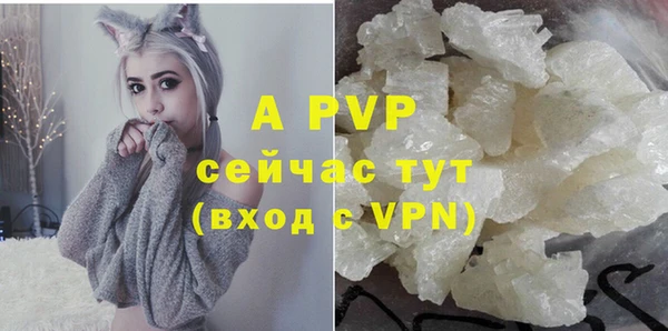 прущие грибы Бугульма