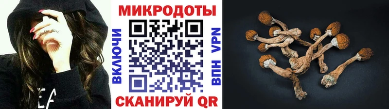 Псилоцибиновые грибы мицелий  Купить  Боровск 